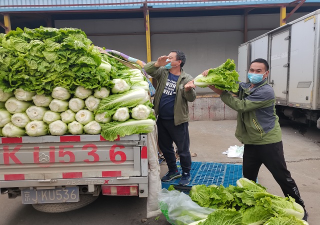 博业体育(中国)加大“冬储菜”调运，全力做好保供稳价